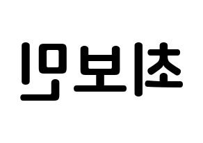 KPOP idol Golden Child  최보민 (Choi Bo-min, Bomin) Printable Hangul name fan sign, fanboard resources for concert Reversed
