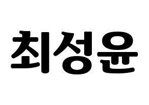 KPOP idol Golden Child  Y (Choi Sung-yun, Y) Printable Hangul name fan sign, fanboard resources for light sticks Normal
