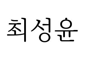 KPOP idol Golden Child  Y (Choi Sung-yun, Y) Printable Hangul name fan sign & fan board resources Normal