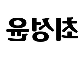 KPOP idol Golden Child  Y (Choi Sung-yun, Y) Printable Hangul name fan sign, fanboard resources for light sticks Reversed