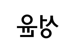 KPOP idol Golden Child  Y (Choi Sung-yun, Y) Printable Hangul name Fansign Fanboard resources for concert Reversed