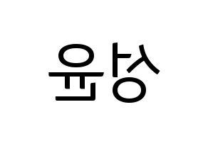 KPOP idol Golden Child  Y (Choi Sung-yun, Y) Printable Hangul name fan sign, fanboard resources for light sticks Reversed