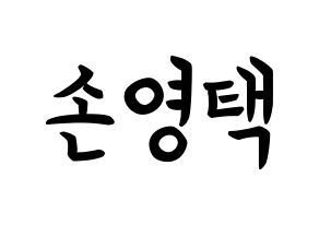 KPOP idol Golden Child  TAG (Son Young-taek, Tag) Printable Hangul name fan sign, fanboard resources for concert Normal