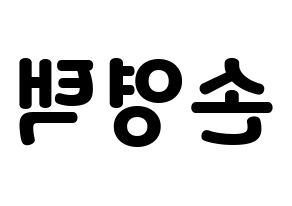 KPOP idol Golden Child  TAG (Son Young-taek, Tag) Printable Hangul name fan sign & fan board resources Reversed