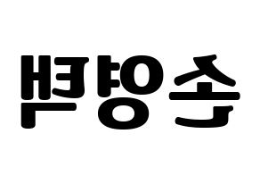 KPOP idol Golden Child  TAG (Son Young-taek, Tag) Printable Hangul name fan sign, fanboard resources for light sticks Reversed
