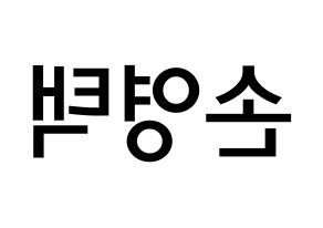 KPOP idol Golden Child  TAG (Son Young-taek, Tag) Printable Hangul name Fansign Fanboard resources for concert Reversed