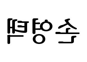 KPOP idol Golden Child  TAG (Son Young-taek, Tag) Printable Hangul name fan sign, fanboard resources for LED Reversed