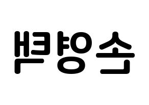 KPOP idol Golden Child  TAG (Son Young-taek, Tag) Printable Hangul name fan sign, fanboard resources for concert Reversed