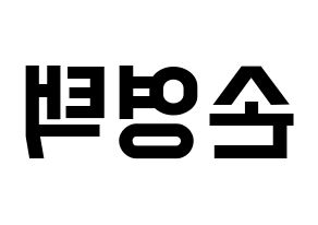 KPOP idol Golden Child  TAG (Son Young-taek, Tag) Printable Hangul name fan sign, fanboard resources for light sticks Reversed