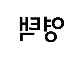 KPOP idol Golden Child  TAG (Son Young-taek, Tag) Printable Hangul name Fansign Fanboard resources for concert Reversed