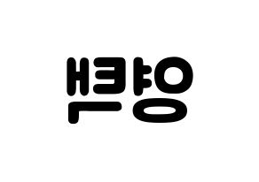 KPOP idol Golden Child  TAG (Son Young-taek, Tag) Printable Hangul name fan sign & fan board resources Reversed