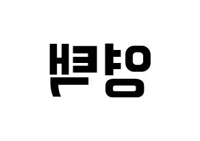 KPOP idol Golden Child  TAG (Son Young-taek, Tag) Printable Hangul name fan sign, fanboard resources for concert Reversed