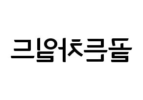 KPOP idol Golden Child Printable Hangul fan sign & fan board resources Reversed