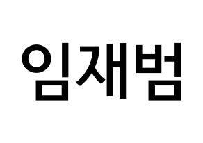 KPOP idol GOT7  JB (Im Jae-bum, JB) Printable Hangul name Fansign Fanboard resources for concert Normal