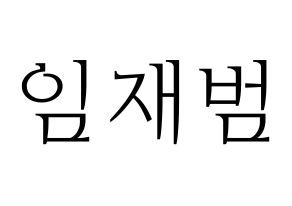 KPOP idol GOT7  JB (Im Jae-bum, JB) Printable Hangul name fan sign & fan board resources Normal