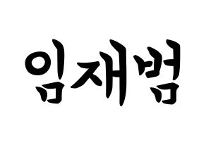 KPOP idol GOT7  JB (Im Jae-bum, JB) Printable Hangul name fan sign, fanboard resources for concert Normal