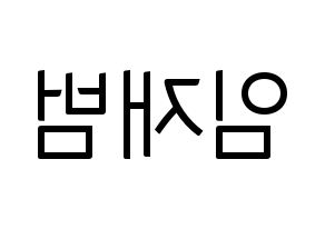 KPOP idol GOT7  JB (Im Jae-bum, JB) Printable Hangul name fan sign, fanboard resources for light sticks Reversed