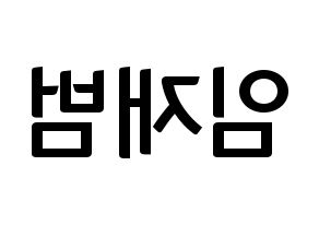 KPOP idol GOT7  JB (Im Jae-bum, JB) Printable Hangul name fan sign, fanboard resources for concert Reversed