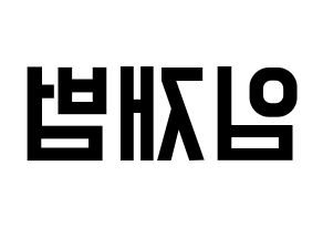 KPOP idol GOT7  JB (Im Jae-bum, JB) Printable Hangul name fan sign, fanboard resources for light sticks Reversed
