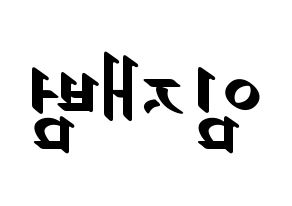 KPOP idol GOT7  JB (Im Jae-bum, JB) Printable Hangul name fan sign, fanboard resources for LED Reversed