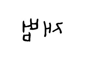KPOP idol GOT7  JB (Im Jae-bum, JB) Printable Hangul name fan sign, fanboard resources for concert Reversed
