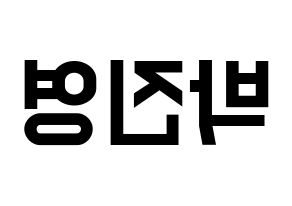 KPOP idol GOT7  진영 (Park Jin-young, Jinyoung) Printable Hangul name fan sign, fanboard resources for light sticks Reversed