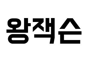 KPOP idol GOT7  잭슨 (Wang Jia Er, Jackson) Printable Hangul name fan sign, fanboard resources for light sticks Normal