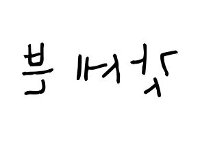 KPOP idol GOT7 Printable Hangul Fansign Fanboard resources Reversed