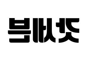KPOP idol GOT7 Printable Hangul fan sign, fanboard resources for light sticks Reversed