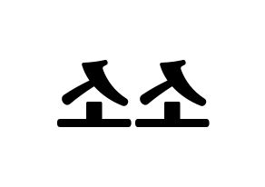 KPOP idol GWSN  소소 (Wang Jing-Yi, Soso) Printable Hangul name fan sign, fanboard resources for light sticks Reversed