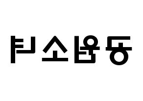 KPOP idol GWSN Printable Hangul fan sign & concert board resources Reversed