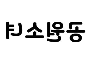 KPOP idol GWSN Printable Hangul fan sign & concert board resources Reversed