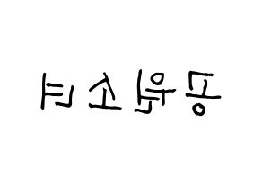 KPOP idol GWSN Printable Hangul Fansign concert board resources Reversed