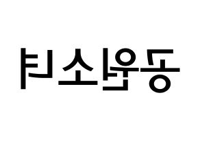 KPOP idol GWSN Printable Hangul Fansign Fanboard resources Reversed