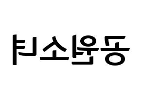 KPOP idol GWSN Printable Hangul fan sign & fan board resources Reversed