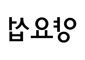 KPOP idol Highlight  양요섭 (Yang Yo-seop, Yang Yo-seop) Printable Hangul name Fansign Fanboard resources for concert Reversed