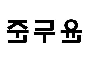 KPOP idol Highlight  윤두준 (Yoon Du-jun, Yoon Du-jun) Printable Hangul name fan sign & fan board resources Reversed