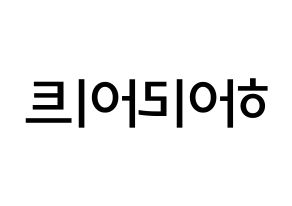 KPOP idol Highlight Printable Hangul Fansign Fanboard resources Reversed