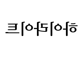KPOP idol Highlight Printable Hangul fan sign, fanboard resources for LED Reversed