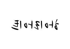 KPOP idol Highlight Printable Hangul fan sign, concert board resources for light sticks Reversed