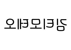 KPOP idol HOTSHOT  티모테오 (Kim Timoteo, Timoteo) Printable Hangul name Fansign Fanboard resources for concert Reversed