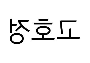 KPOP idol HOTSHOT  호정 (Ko Ho-jung, Hojung) Printable Hangul name fan sign, fanboard resources for light sticks Reversed