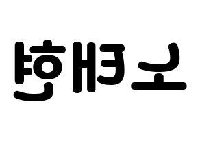 KPOP idol HOTSHOT  태현 (Noh Tae-hyun, Taehyun) Printable Hangul name fan sign & fan board resources Reversed