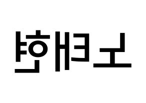KPOP idol HOTSHOT  태현 (Noh Tae-hyun, Taehyun) Printable Hangul name Fansign Fanboard resources for concert Reversed