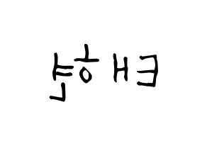 KPOP idol HOTSHOT  태현 (Noh Tae-hyun, Taehyun) Printable Hangul name Fansign Fanboard resources for concert Reversed