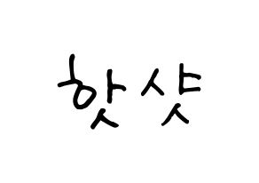 KPOP idol HOTSHOT Printable Hangul fan sign, concert board resources for light sticks Normal
