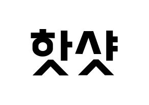 KPOP idol HOTSHOT Printable Hangul Fansign concert board resources Normal