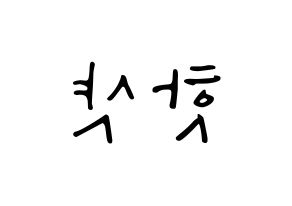 KPOP idol HOTSHOT Printable Hangul fan sign, concert board resources for LED Reversed