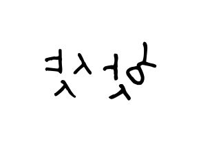 KPOP idol HOTSHOT Printable Hangul fan sign, concert board resources for light sticks Reversed