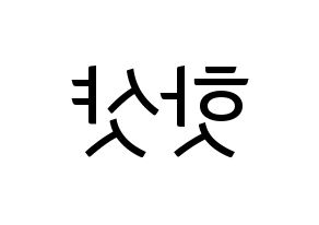 KPOP idol HOTSHOT Printable Hangul fan sign, fanboard resources for light sticks Reversed